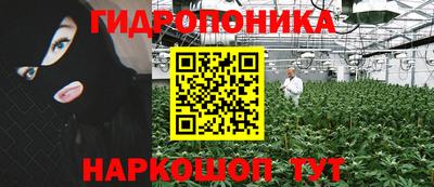 прущие грибы Камень-на-Оби