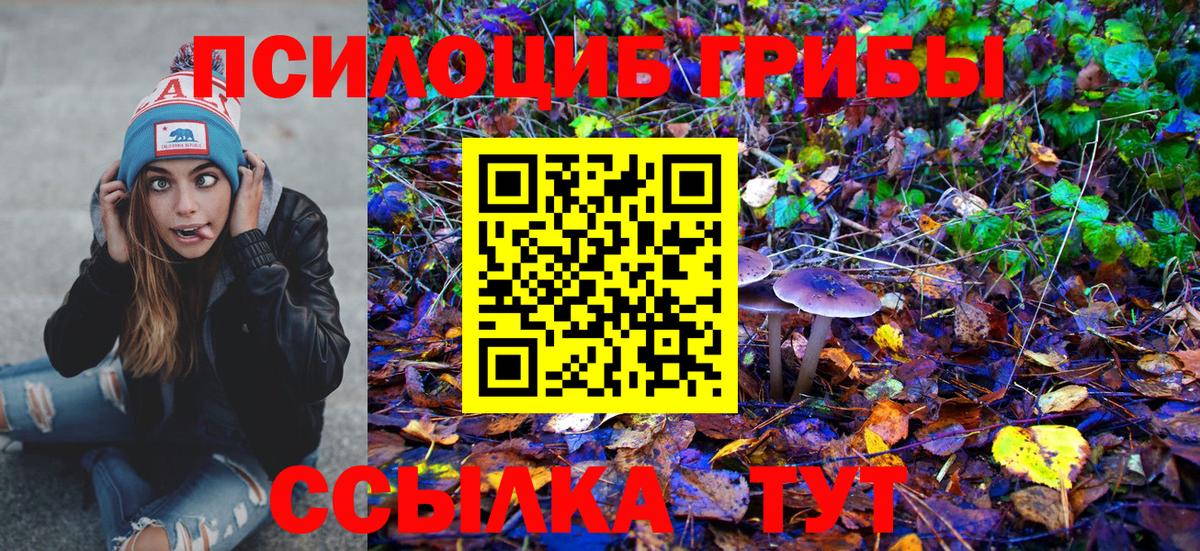 Ногинск  Псилоцибиновые грибы Cubensis  Вход с VPN 